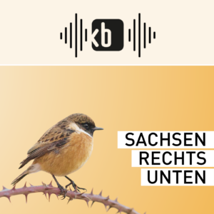 Logo, Podcastreihe "Sachsen rechts unten", Kulturbüro Sachsen e.V.